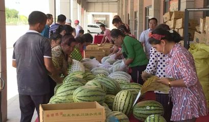白云人組團(tuán)采購(gòu)逾1.5萬(wàn)個(gè)新疆西瓜，愛心接力解滯銷燃眉之急